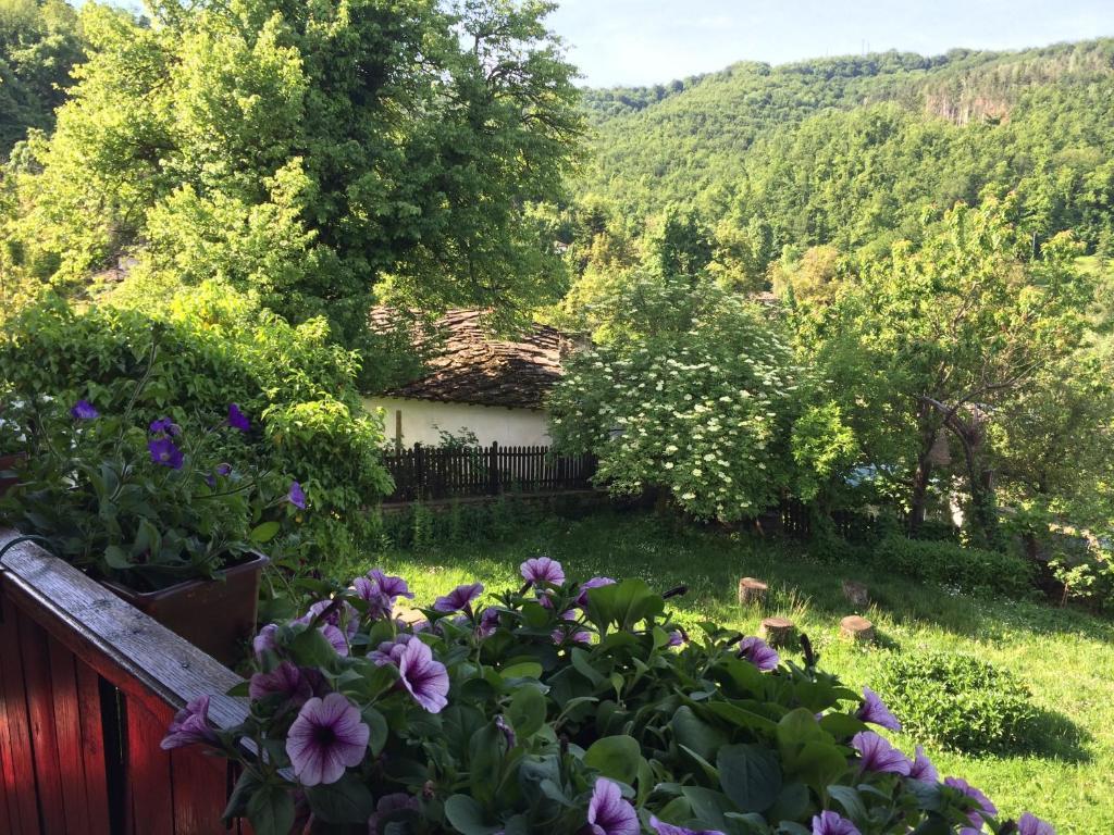 Stefanina Guesthouse Боженціте Екстер'єр фото